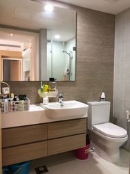 The Lakefront Residences (D22), Condominium #214504301